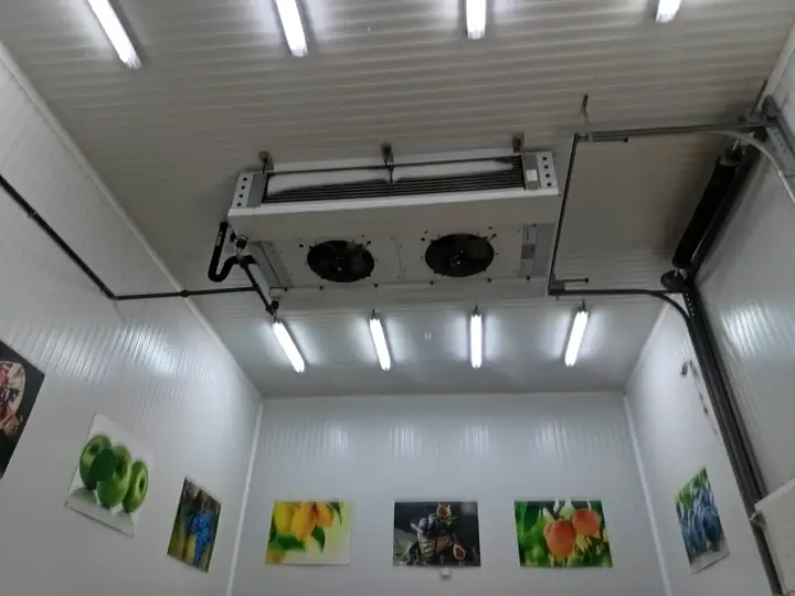Iluminación estanca y cableado eléctrico en el techo de una cámara frigorífica de un local comercial